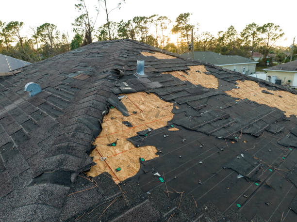 Best Storm Damage Roof Repair  in West Blocton, AL